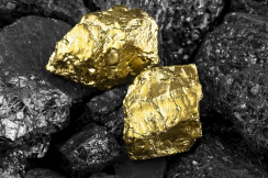 Gold CIP
