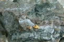 Gold ClL