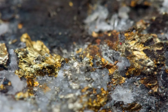 Gold Heap