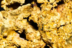 Alluvial Gold